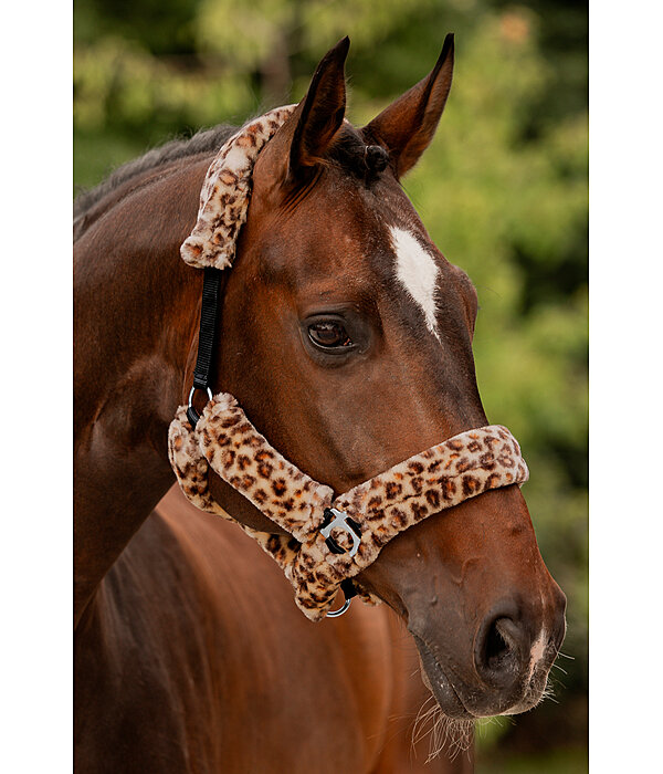 Teddy Fleece Headcollar Protection