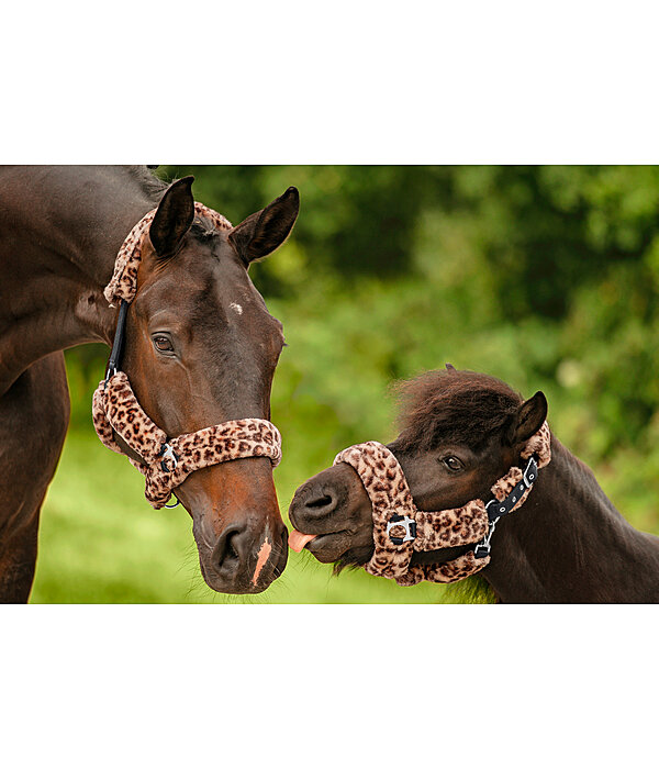 Teddy Fleece Headcollar Protection