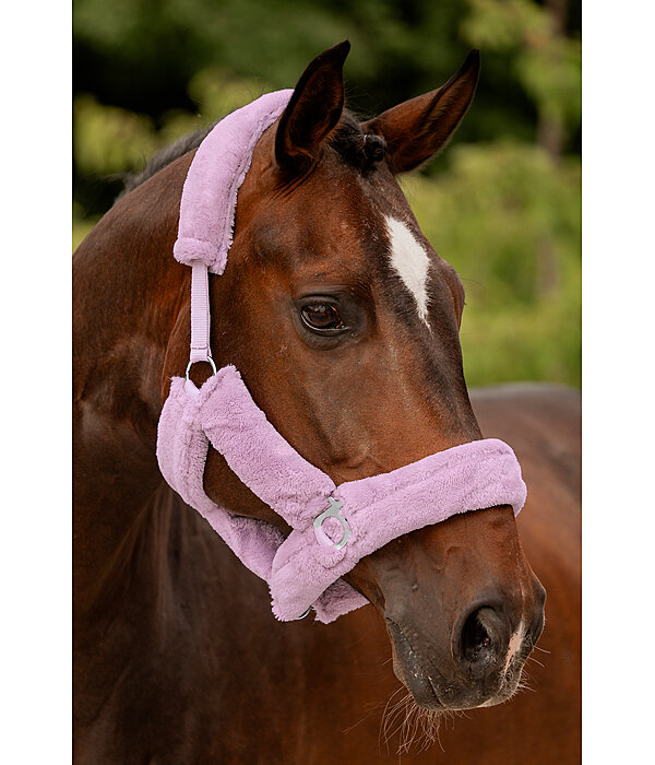 Teddy Fleece Headcollar Protection