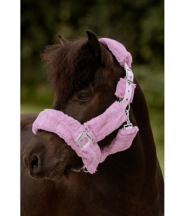 Teddy Fleece Headcollar Protection