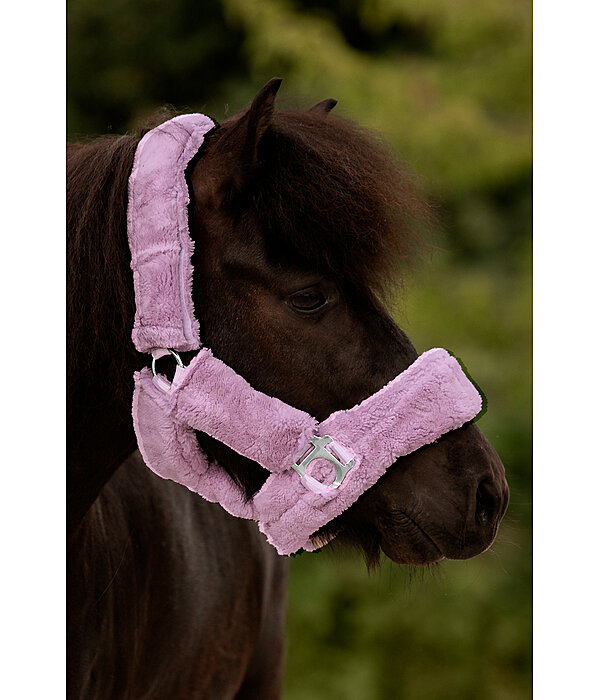 Teddy Fleece Headcollar Protection