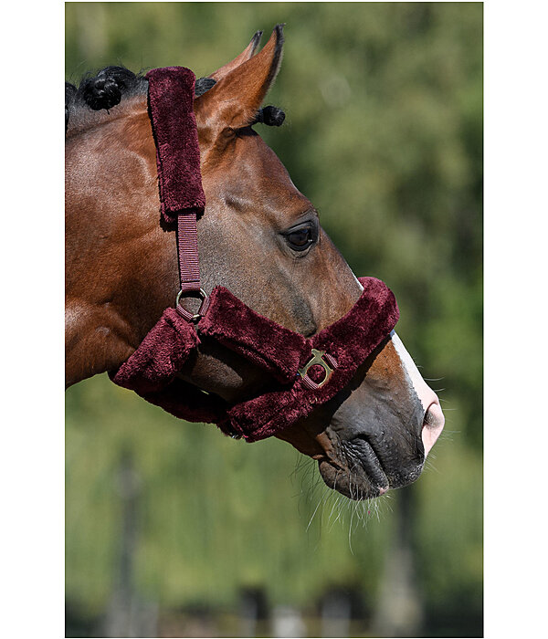 Teddy Fleece Headcollar Protection