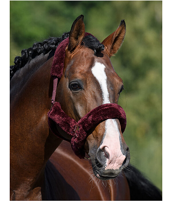 Teddy Fleece Headcollar Protection