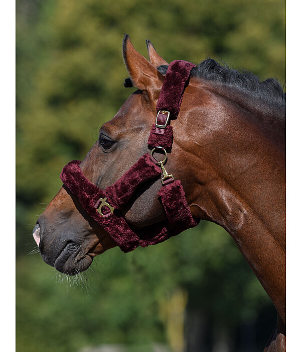 Teddy Fleece Headcollar Protection