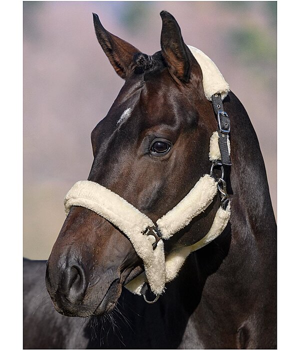 Teddy Fleece Headcollar Protection