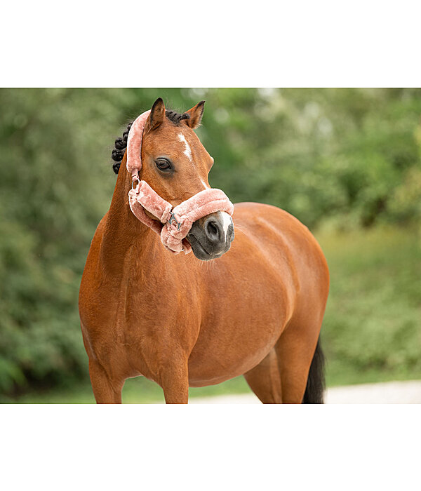 Teddy Fleece Headcollar Protection