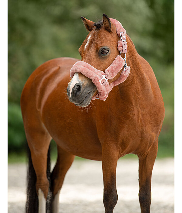 Teddy Fleece Headcollar Protection