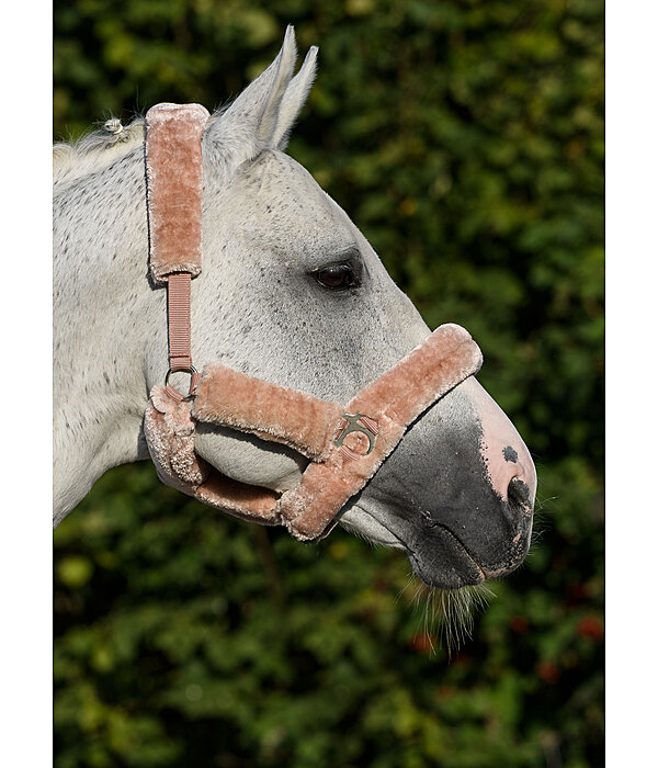 Teddy Fleece Headcollar Protection