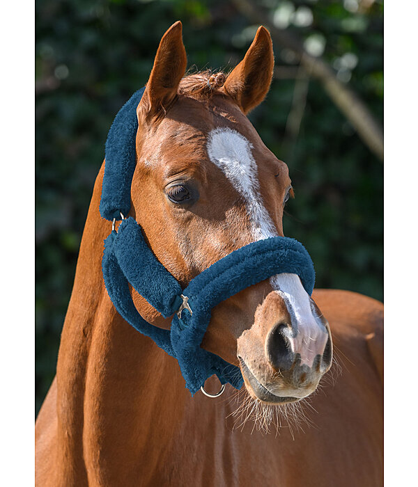 Teddy Fleece Headcollar Protection