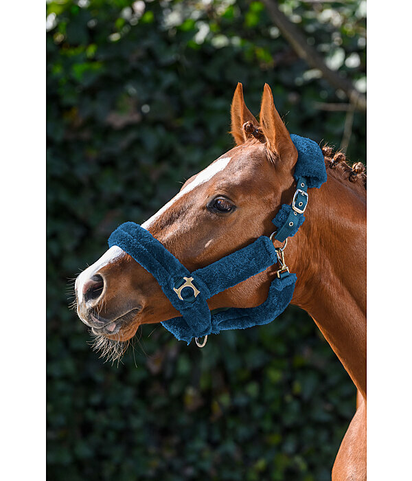 Teddy Fleece Headcollar Protection