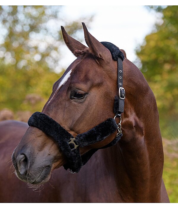 Teddy Fleece Headcollar Protection