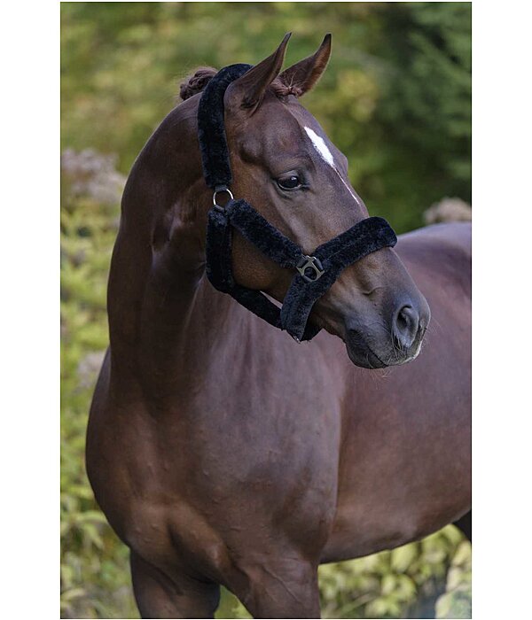 Teddy Fleece Headcollar Protection