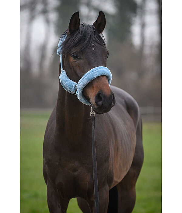 Teddy Fleece Headcollar Protection