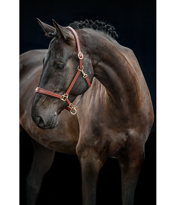 Leather Headcollar Siri