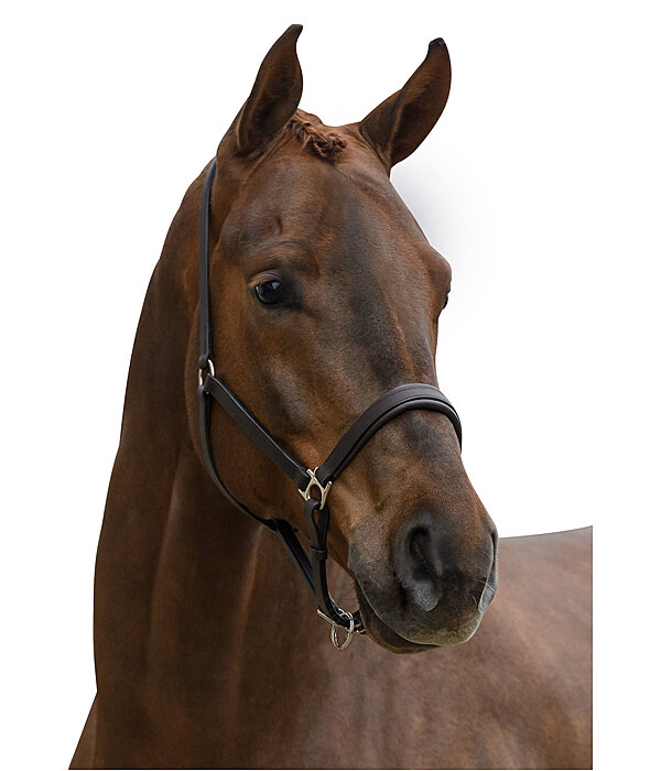 Leather Headcollar Siri