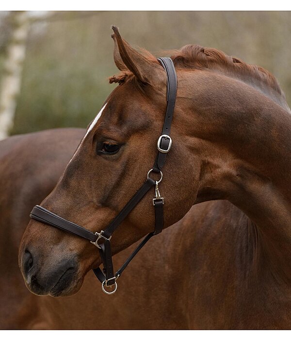 Leather Headcollar Siri