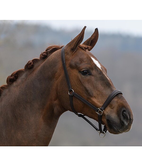 Leather Headcollar Siri