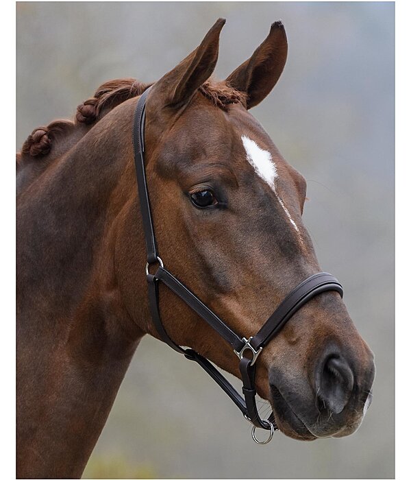 Leather Headcollar Siri