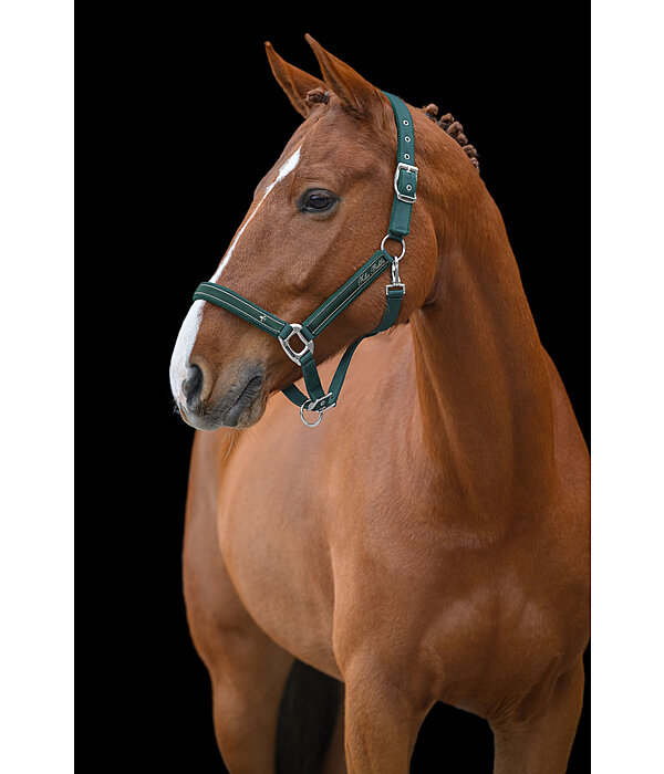 Headcollar Glamorous