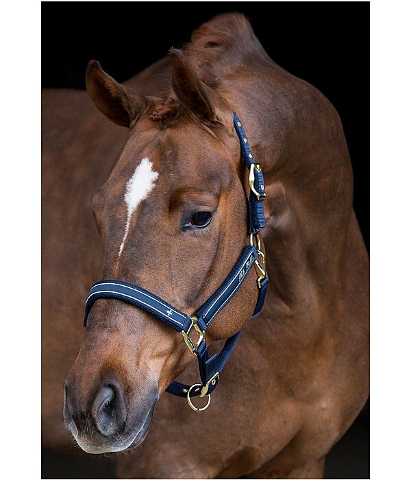 Headcollar Glamorous