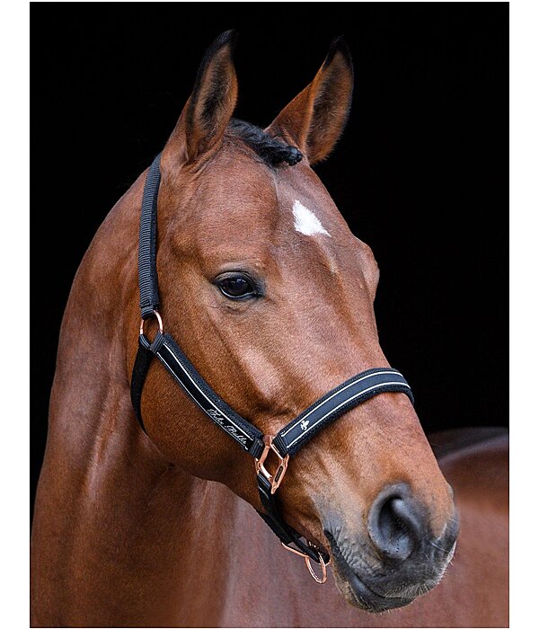 Headcollar Glamorous