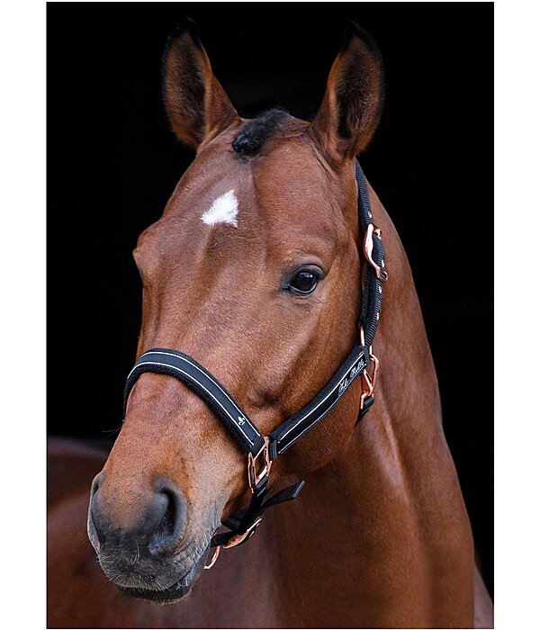 Headcollar Glamorous