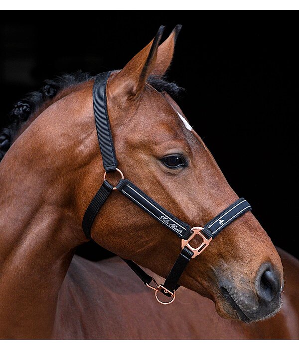 Headcollar Glamorous