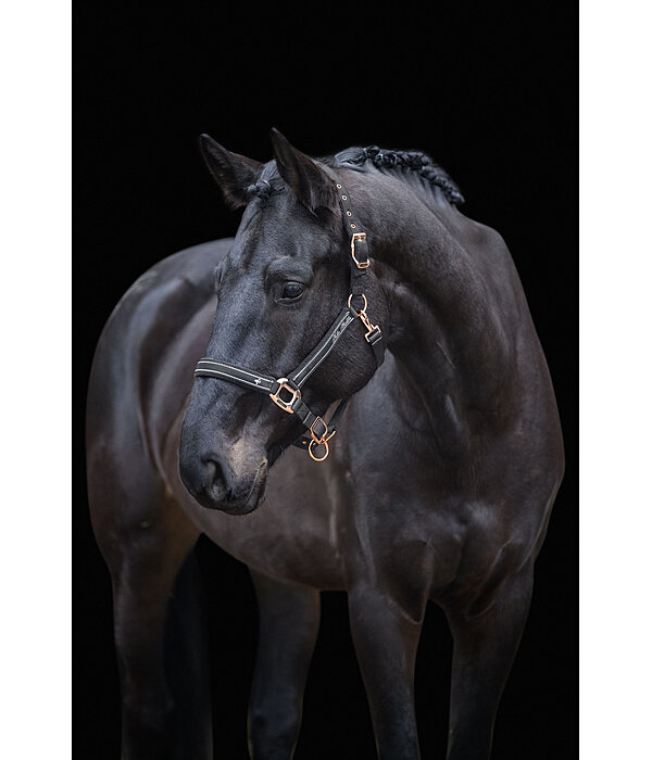 Headcollar Glamorous