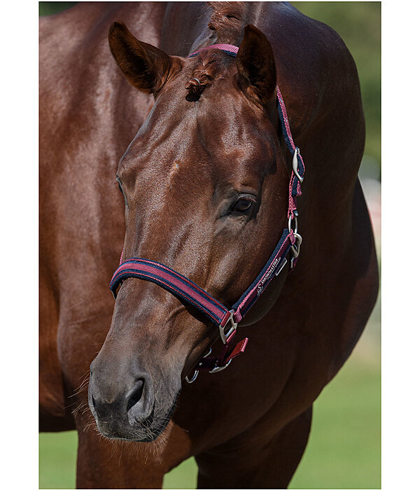 Headcollar Twotone