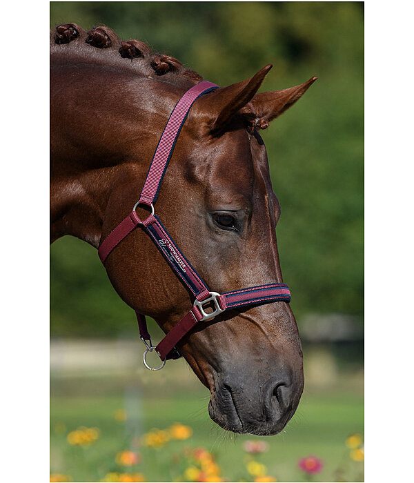 Headcollar Twotone