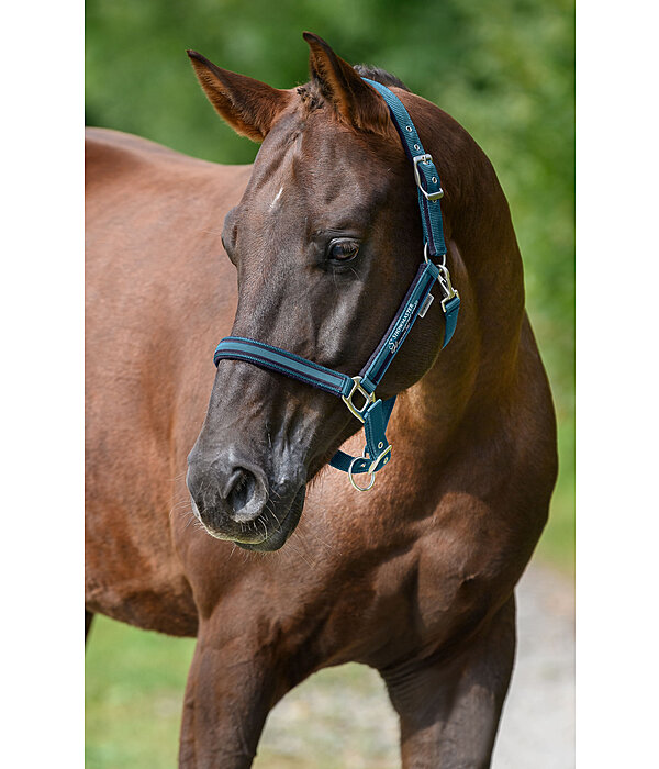 Headcollar Twotone