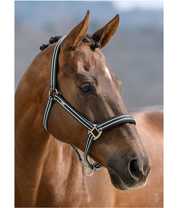 Headcollar Basic