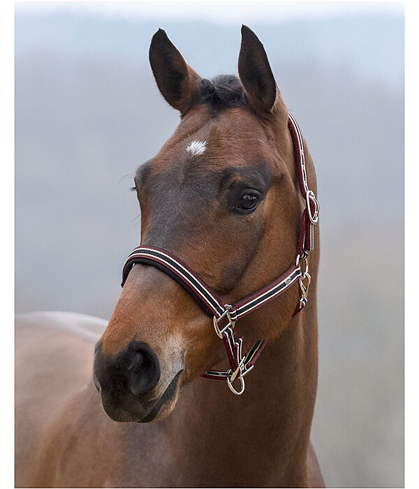 Headcollar Basic