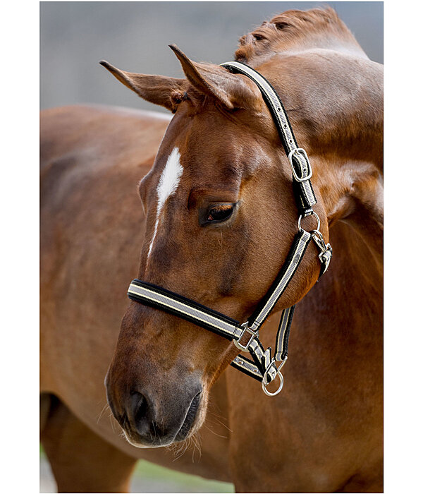 Headcollar Basic