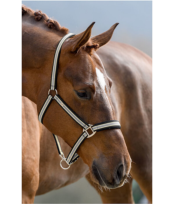 Headcollar Basic