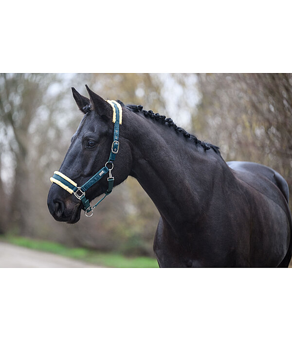 Headcollar Sparkling II