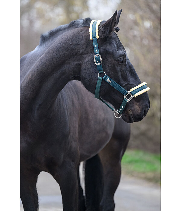 Headcollar Sparkling II