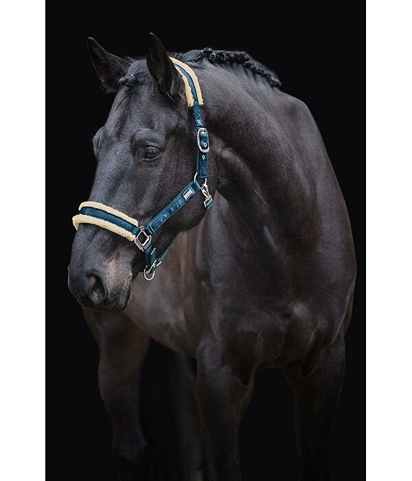 Headcollar Sparkling II