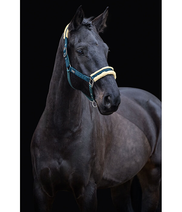 Headcollar Sparkling II