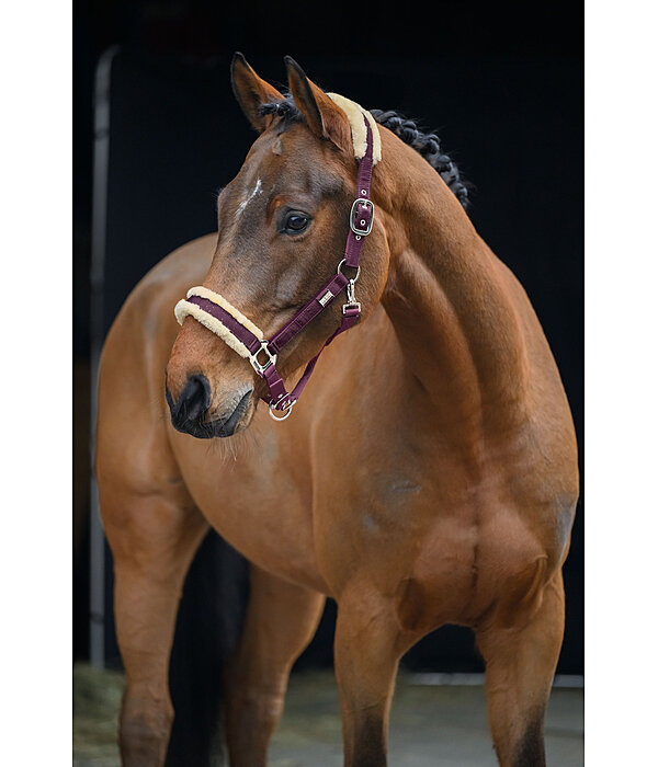 Headcollar Sparkling II