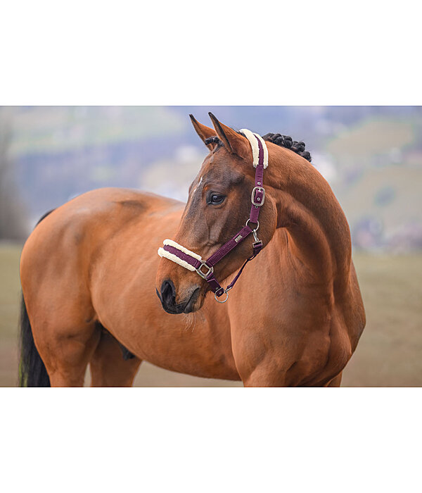 Headcollar Sparkling II