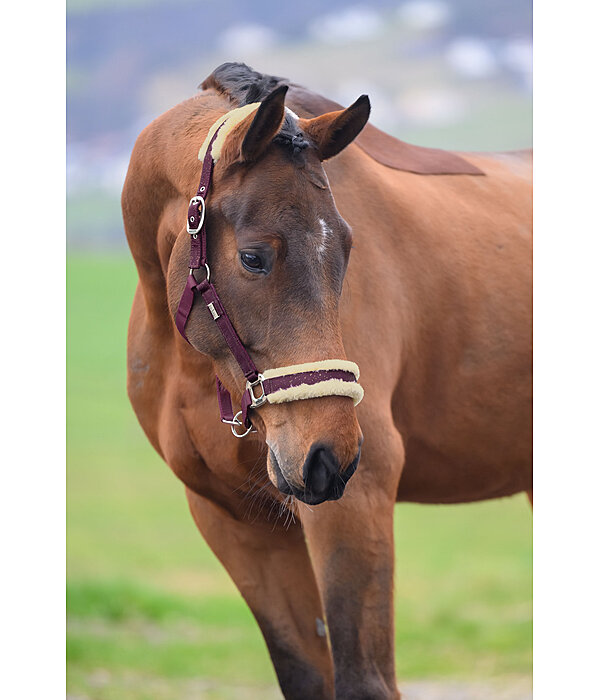 Headcollar Sparkling II