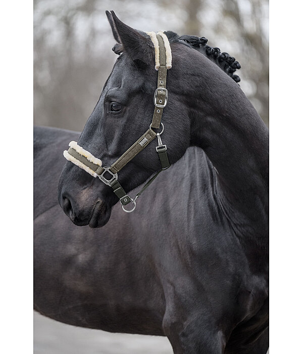 Headcollar Sparkling II