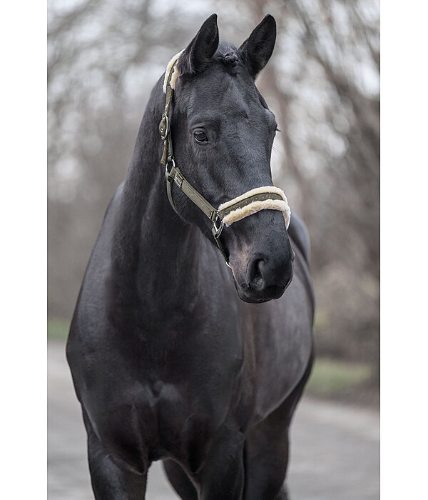 Headcollar Sparkling II