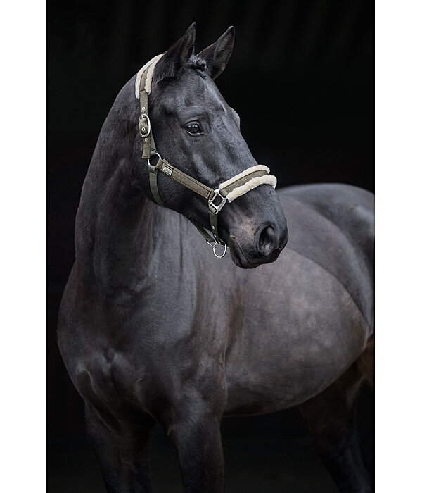 Headcollar Sparkling II