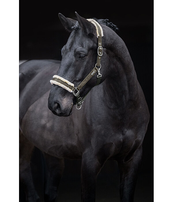 Headcollar Sparkling II