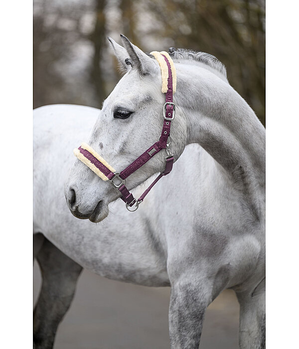 Headcollar Sparkling II