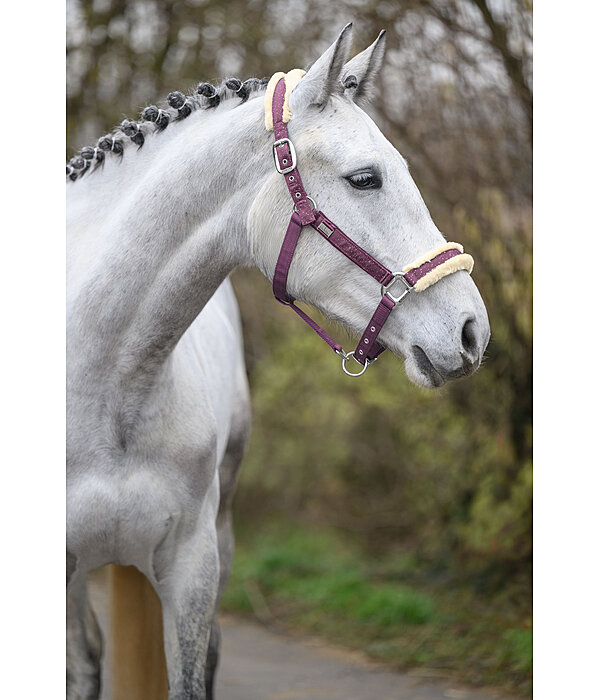 Headcollar Sparkling II