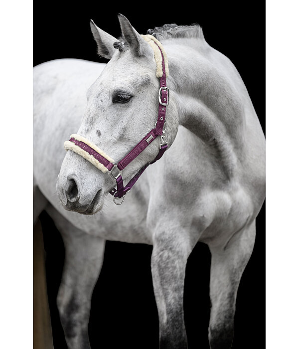 Headcollar Sparkling II
