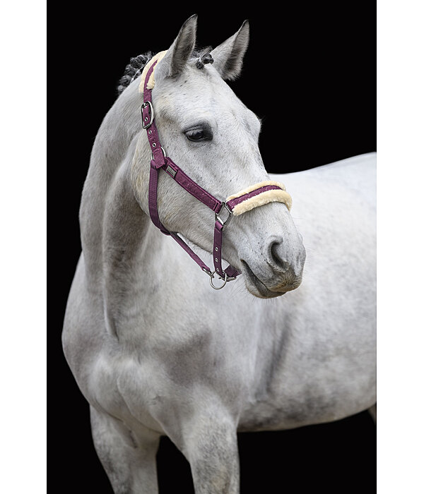 Headcollar Sparkling II